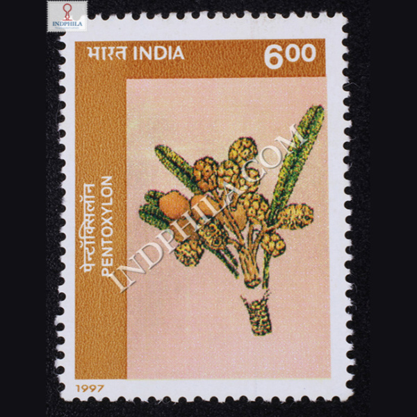 BIRBAL SAHNI INSTITUTE OF PALAEOBOTANY LUCKNOW PENTOXYLON COMMEMORATIVE STAMP