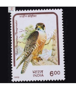 BIRDS OF PREY SHAHIN FALCON COMMEMORATIVE STAMP