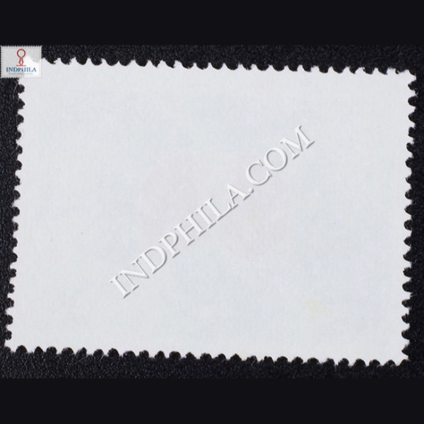 BUTTERFLIES CETHOSIA BIBLIS COMMEMORATIVE STAMP BACK 2.jpg