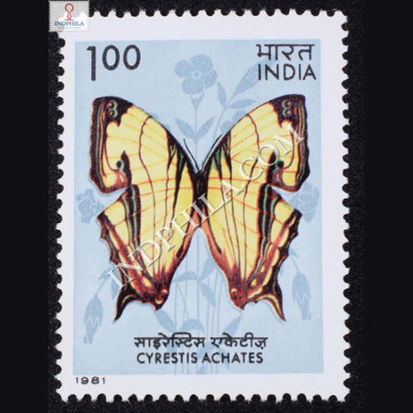 BUTTERFLIES CYRESTIS ACHATES COMMEMORATIVE STAMP 2.jpg