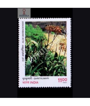 INDIAN MEDICINAL PLANTS GHRITKUMARI COMMEMORATIVE STAMP