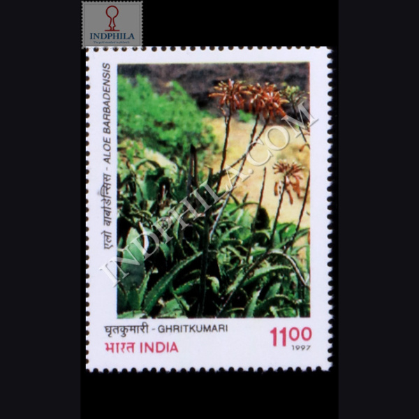 INDIAN MEDICINAL PLANTS GHRITKUMARI COMMEMORATIVE STAMP