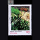 INDIAN MEDICINAL PLANTS GHRITKUMARI COMMEMORATIVE STAMP