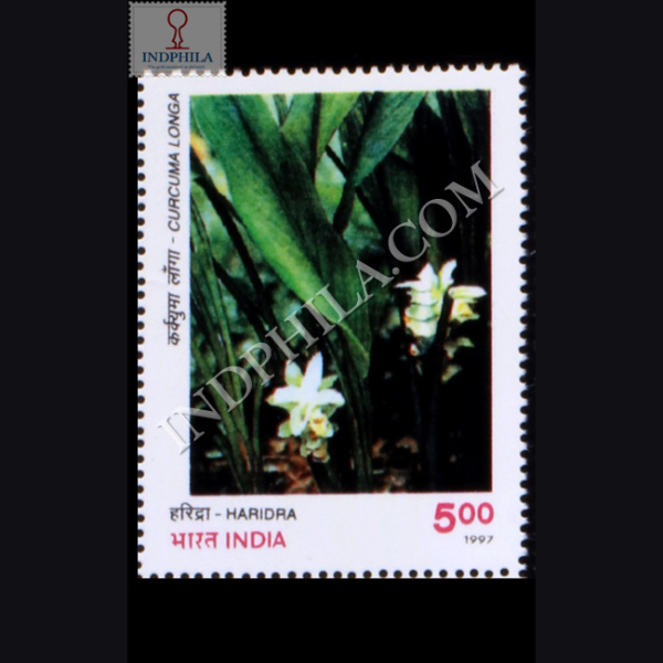 INDIAN MEDICINAL PLANTS HARIDRA COMMEMORATIVE STAMP