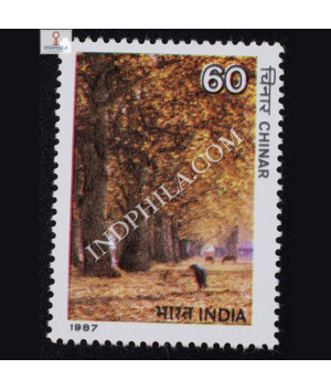 INDIAN TREES CHINAR COMMEMORATIVE STAMP