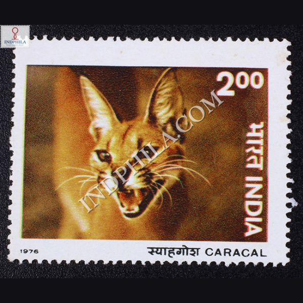 INDIAN WILD LIFE CARACAL COMMEMORATIVE STAMP