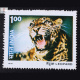 INDIAN WILD LIFE LEOPARD COMMEMORATIVE STAMP