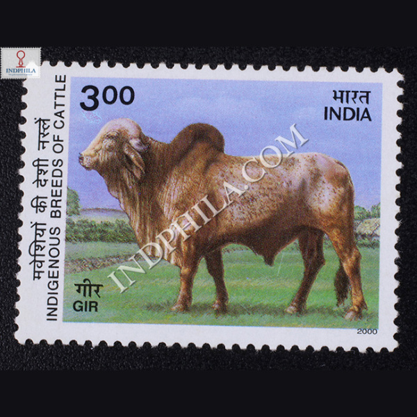 INDIGENOUS BREEDS OF CATTLE GIR COMMEMORATIVE STAMP