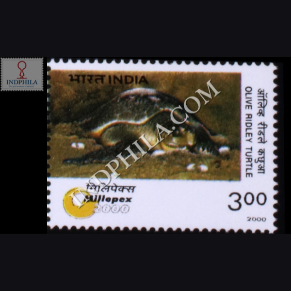 MILIPEX 2000 ENDANGERED SPECIES TURTLES OLIVE RIDLEY COMMEMORATIVE STAMP