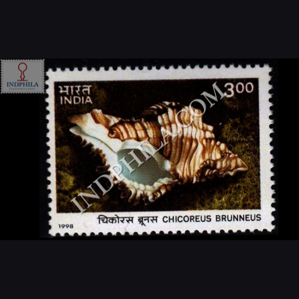 SEA SHELLS OF ANDAMAN AND NICOBAR ISLANDS INTERNATIONAL YEAR OF THE OCEAN CHICOREUS COMMEMORATIVE STAMP
