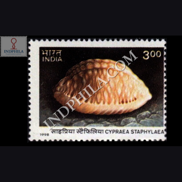 SEA SHELLS OF ANDAMAN AND NICOBAR ISLANDS INTERNATIONAL YEAR OF THE OCEAN CYPRAEASTAPHYLAEA COMMEMORATIVE STAMP