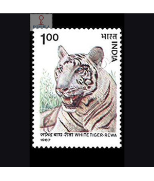 WILD LIFE WHITE TIGER–REWA COMMEMORATIVE STAMP