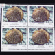 CORALS OF INDIA FUNGIA HORRIDA BLOCK OF 4 INDIA COMMEMORATIVE STAMP