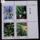 INDIA 1997 MEDICINAL PLANTS MNH SETENANT BLOCK