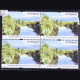 MANGROVES OF INDIA RHIZOPHORAMUCRONATA BLOCK OF 4 INDIA COMMEMORATIVE STAMP