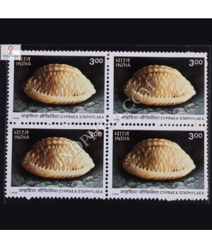 SEA SHELLS OF ANDAMAN AND NICOBAR ISLANDS INTERNATIONAL YEAR OF THE OCEAN CYPRAEASTAPHYLAEA BLOCK OF 4 INDIA COMMEMORATIVE STAMP