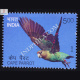 Exotic Birds Cape Parrot Commemorative Stamp