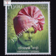 Headgears Haryanvi Turban Commemorative Stamp