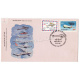 India 1986 75th Anniversary Of First Official Airmail Flight Allahabad Naini Fdc