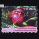 Orchids S5 Commemorative Stamp