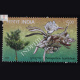 Pterospermum Acerifolium Commemorative Stamp