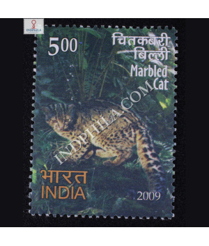 Rare Fauna Of The North East Marbled Cat Commemorative Stamp