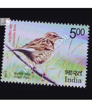 Vulnerable Birds Nilgiri Pipit Commemorative Stamp