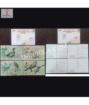 Endangered Birds Of India Set Of 4 Maxim Cards