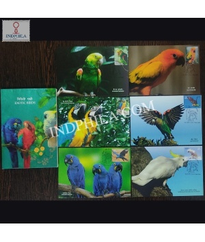 Exotic Birds Set Of 6 Maxim Cards