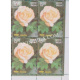 India 2007 Fragrance Of Roses Jawahar Mnh Block Of 4 Stamp