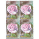 India 2007 Fragrance Of Roses Neelam Mnh Block Of 4 Stamp