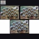 India 2008 Aldabra Giant Tortoise Set Of 4 Mnh Sheetlet