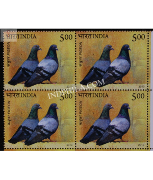 India 2010 Pigeon And Sparrow Pigeon Mnh Block Of 4 Stamp