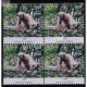 India 2012 Endemic Species Of Biodiversity Hotspots Hoolock Gibbon Mnh Block Of 4 Stamp