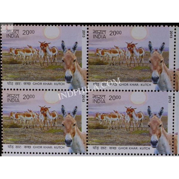 India 2013 Wild Asses Of Kutchh And Ladakh Ghor Kharkutch Asses Mnh Block Of 4 Stamp