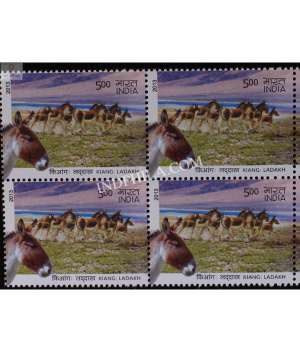 India 2013 Wild Asses Of Kutchh And Ladakh Ladakh Wild Asses Mnh Block Of 4 Stamp