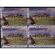 India 2013 Wild Asses Of Kutchh And Ladakh Ladakh Wild Asses Mnh Block Of 4 Stamp
