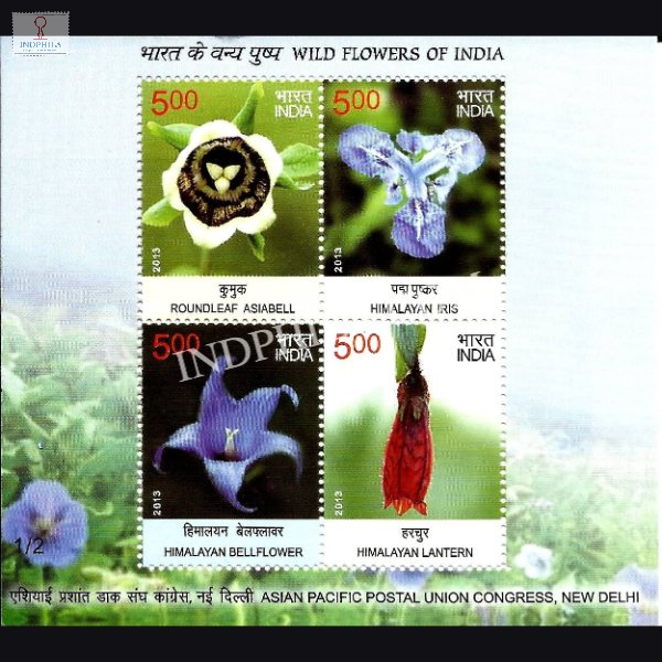 India 2013 Wild Flowers Of India 4 Stamps 2 3 Mnh Miniature Sheet