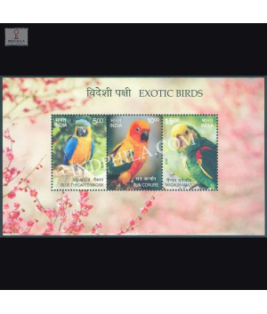 India 2016 Exotic Birds 1 Mnh Miniature Sheet