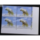 India 2016 Exotic Birds Yellow Headed Amazon Mnh Block Of 4 Stamp