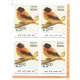 India 2016 Near Threatened Birds Andaman Woodpecker Mnh Block Of 4 Stamp