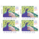India 2017 India Papua New Guinea Joint Issue S2 Mnh Block Of 4 Stamp