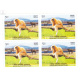 India 2020 Unesco World Heritage Sites Manas Wild Life Mnh Block Of 4 Stamp