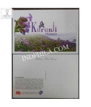 Kurunji Flowers Post Card