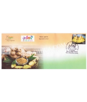 Odop Special Cover Of Ginger Based Products 11th October 2022 From Ambala Haryana
