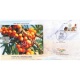 Odop Special Cover Of Seabuckthorn Ladakh 14th October 2022 From Srinagar Jammu And Kashmir