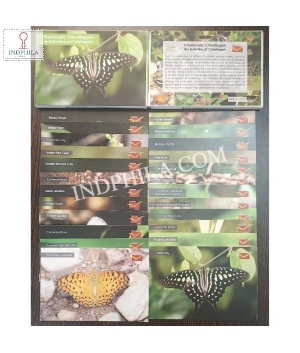 The Butterflies Of Chhattisgarh Set Of 24 Post Cards