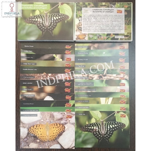 The Butterflies Of Chhattisgarh Set Of 24 Post Cards
