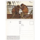 Hanuman Langur Picture Post Card