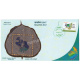 India 2017 Unususal Special Cover Of Tanapex 2017 Logo On Leaf With A Real Pices Of Palm Leaf Affixed On Cover Was Released On 5th January 2017 Chennai